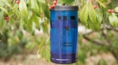 Industrijske in domače pasti za muhe